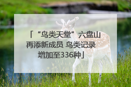 “鸟类天堂”六盘山再添新成员 鸟类记录增加至336种