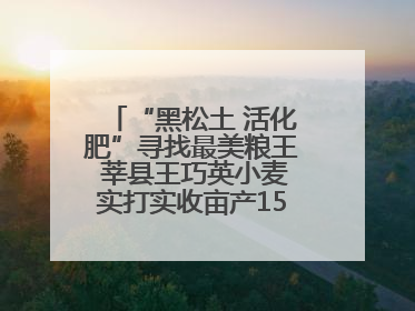 “黑松土 活化肥”寻找最美粮王 莘县王巧英小麦实打实收亩产1515.4斤 超对照田144斤！