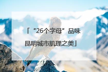 “26个字母”品味昆明城市肌理之美