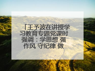 王予波在讲授学习教育专题党课时强调：学思想 强作风 守纪律 做忠诚干净担当的共产党员