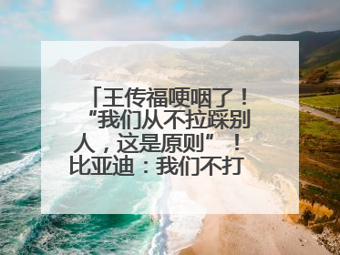 王传福哽咽了！“我们从不拉踩别人，这是原则”！比亚迪：我们不打价格战