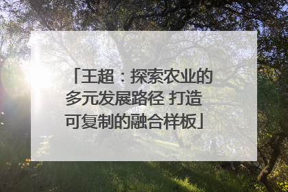 王超：探索农业的多元发展路径 打造可复制的融合样板