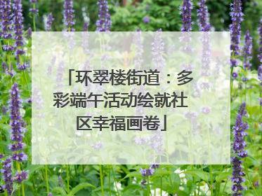 环翠楼街道：多彩端午活动绘就社区幸福画卷
