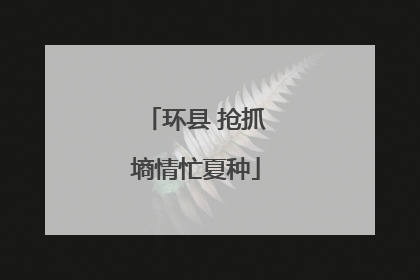 环县 抢抓墒情忙夏种