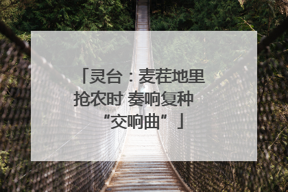 灵台：麦茬地里抢农时 奏响复种“交响曲”