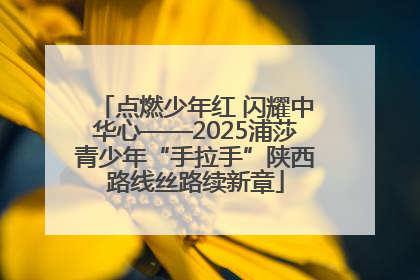 点燃少年红 闪耀中华心——2025浦莎青少年“手拉手”陕西路线丝路续新章