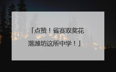 点赞！省赛双奖花落潍坊这所中学！