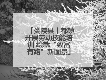 炎陵县十都镇开展劳动技能培训 绘就“致富有路”新图景
