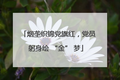 烟垄织锦党旗红，党员躬身绘 “金” 梦