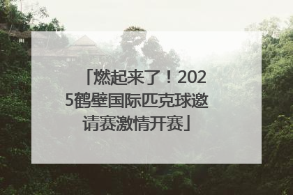 燃起来了！2025鹤壁国际匹克球邀请赛激情开赛