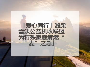 爱心同行丨潍柴雷沃公益机收联盟为特殊家庭解燃“麦”之急