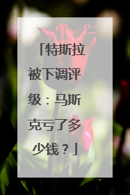 特斯拉被下调评级：马斯克亏了多少钱？