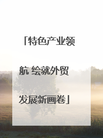 特色产业领航 绘就外贸发展新画卷