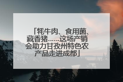 牦牛肉、食用菌、藏香猪……这场产销会助力甘孜州特色农产品走进成都