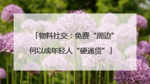 物料社交：免费“周边”何以成年轻人“硬通货”