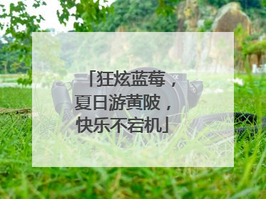 狂炫蓝莓，夏日游黄陂，快乐不宕机