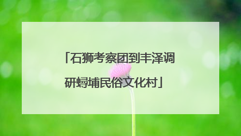 石狮考察团到丰泽调研蟳埔民俗文化村