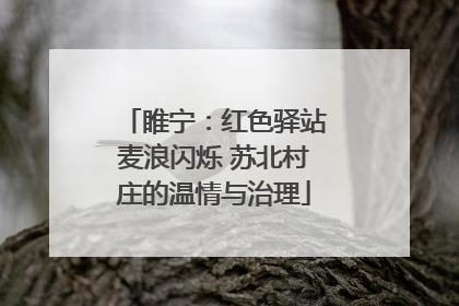 睢宁：红色驿站麦浪闪烁 苏北村庄的温情与治理