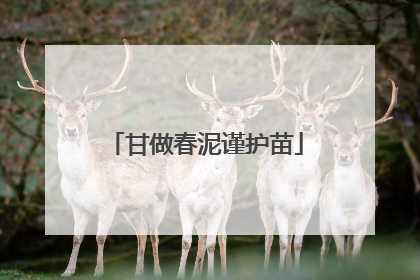 甘做春泥谨护苗