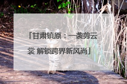 甘肃镇原：一袭剪云裳 解锁跨界新风尚