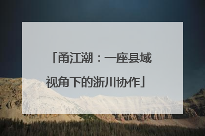 甬江潮：一座县域视角下的浙川协作