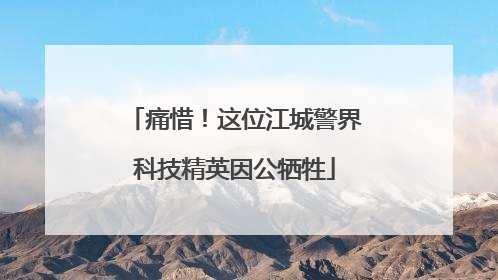 痛惜！这位江城警界科技精英因公牺牲