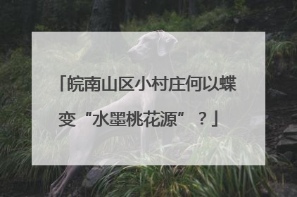 皖南山区小村庄何以蝶变“水墨桃花源”？