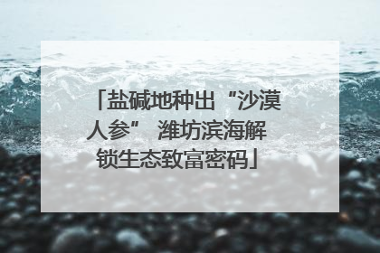 盐碱地种出“沙漠人参” 潍坊滨海解锁生态致富密码