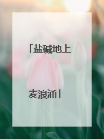 盐碱地上麦浪涌