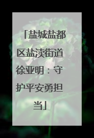 盐城盐都区盐渎街道徐亚明：守护平安勇担当