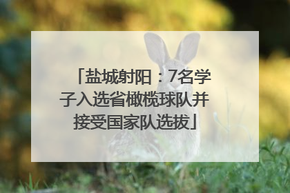 盐城射阳：7名学子入选省橄榄球队并接受国家队选拔