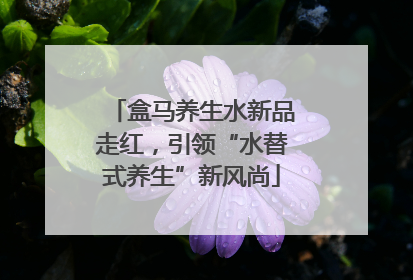 盒马养生水新品走红，引领“水替式养生”新风尚