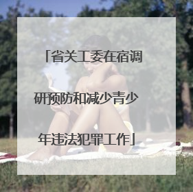 省关工委在宿调研预防和减少青少年违法犯罪工作