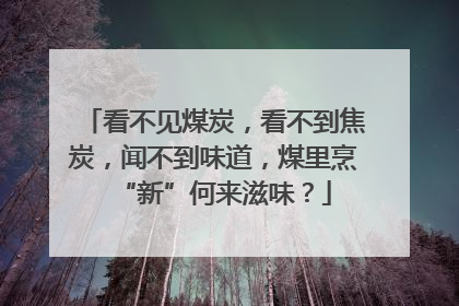 看不见煤炭，看不到焦炭，闻不到味道，煤里烹“新”何来滋味？