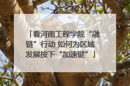 看河南工程学院“融链”行动 如何为区域发展按下“加速键”