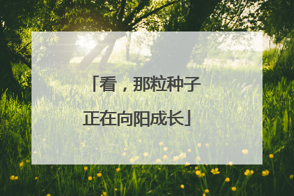 看，那粒种子正在向阳成长