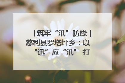 筑牢“汛”防线｜慈利县罗塔坪乡：以“迅”应“汛” 打赢暴雨防御战
