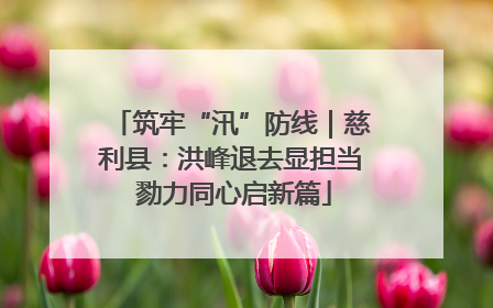 筑牢“汛”防线｜慈利县：洪峰退去显担当 勠力同心启新篇