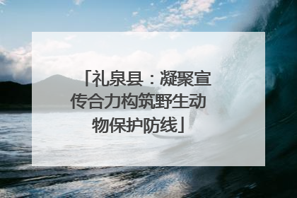 礼泉县：凝聚宣传合力构筑野生动物保护防线
