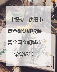 祝贺！沈阳市复查确认继续保留全国文明城市荣誉称号