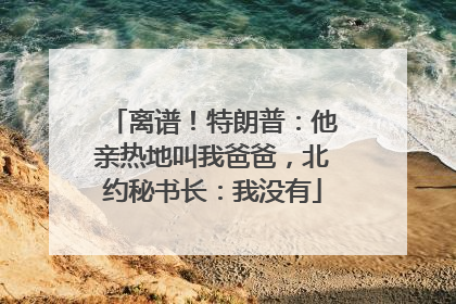 离谱！特朗普：他亲热地叫我爸爸，北约秘书长：我没有