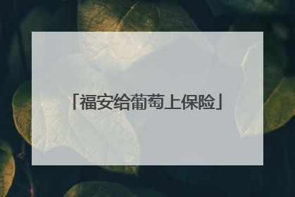 福安给葡萄上保险