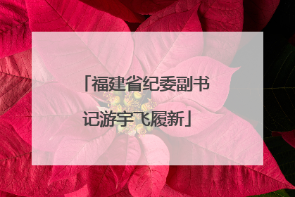福建省纪委副书记游宇飞履新
