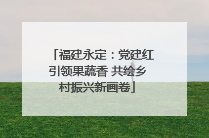 福建永定：党建红引领果蔬香 共绘乡村振兴新画卷