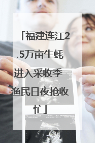福建连江2.5万亩生蚝进入采收季 渔民日夜抢收忙