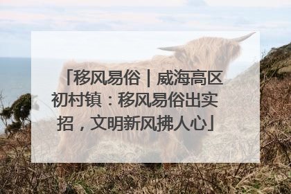 移风易俗｜威海高区初村镇：移风易俗出实招，文明新风拂人心