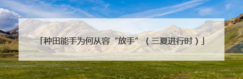 种田能手为何从容“放手”（三夏进行时）