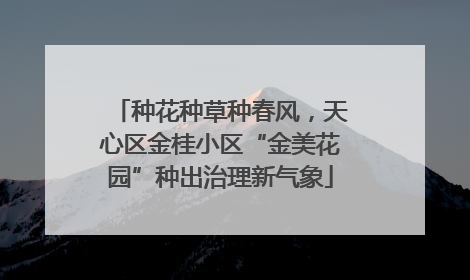 种花种草种春风，天心区金桂小区“金美花园”种出治理新气象
