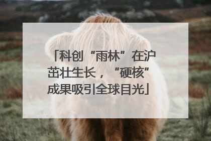 科创“雨林”在沪茁壮生长，“硬核”成果吸引全球目光