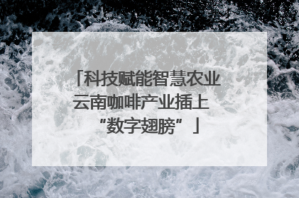 科技赋能智慧农业 云南咖啡产业插上“数字翅膀”